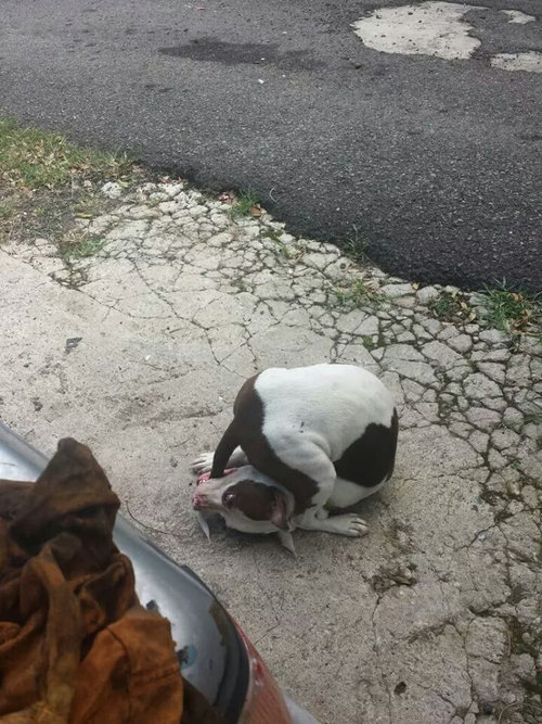 ���äݤ���ޤ�����01