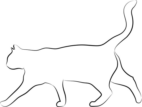 アルビノの猫の耳は、血管がクッキリ見える