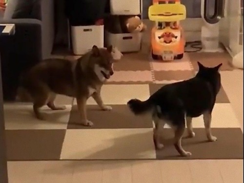 ��������ͷ�ӤΥ롼�뤬�狼��ʤ�06