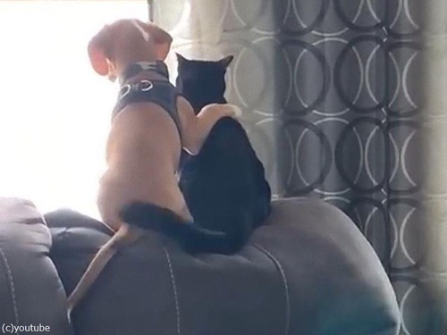 �����Ȥฤ��ǭ05