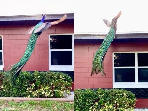 �����������ξ������01