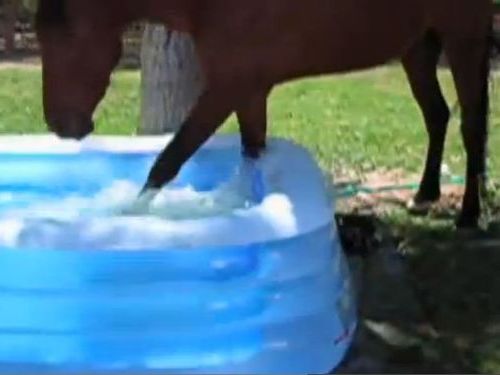 »ҢЏ\\¼\\ߏ¼\½Ð²Џ01