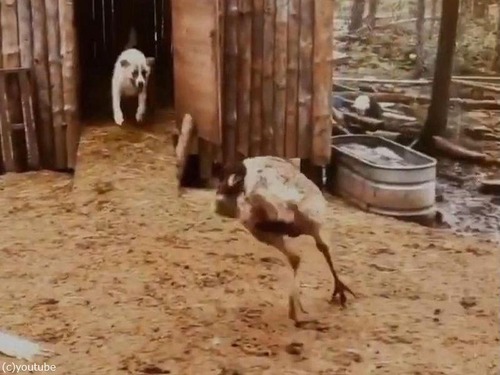 ���ߥ塼�ȸ�03