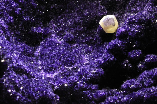 世界最大のアメジスト05