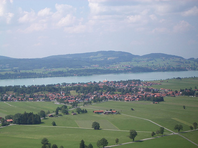 �Υ���������󥷥奿�����01