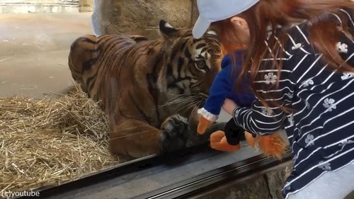 �̤�����ߤȸ�03