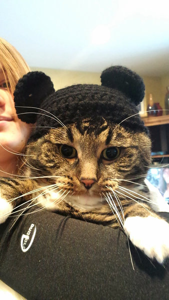 07˹�Ҥ򤫤֤�Ʊγ����