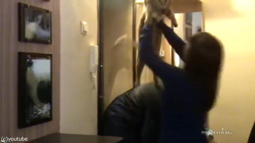 背中に乗ってくる猫05