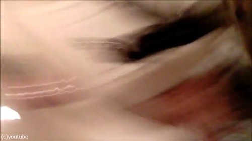 ドローンで猫撮ってみた06