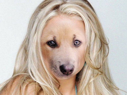 �����Ѥ��ɤ골04