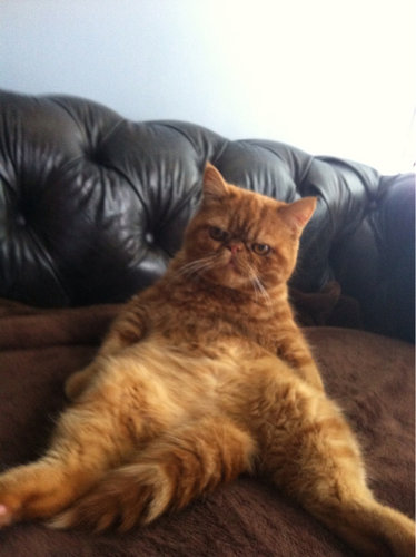 すごいポーズ03