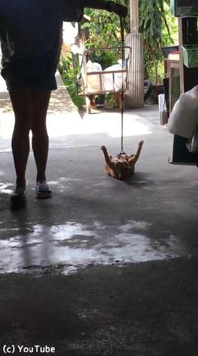 ǭ�ֵ��ꤿ���ʤ��˥��03