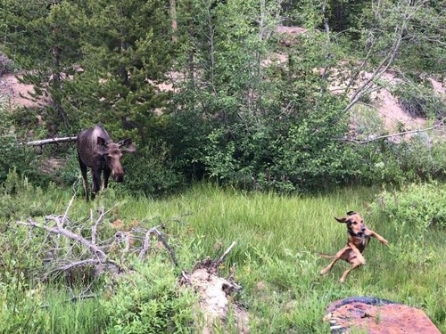 �إ饸��������������01