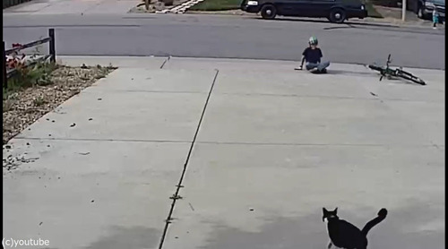 ���ξ�ǯ���������������ܤ�ǭ����Ǥˤ�äƤ���01