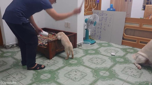 �Ҹ��򤷤������Ȥ����顢�Ƹ������01