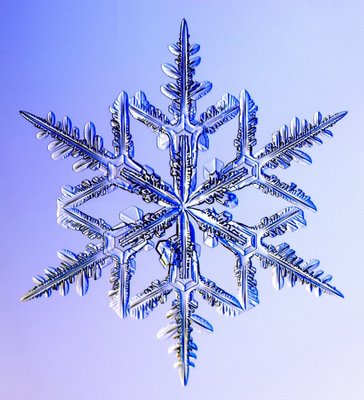 天からの贈り物 宝石のような雪の結晶の写真15枚 らばq