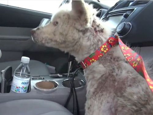 ���ߤλ�����餹�ۡ���쥹����߽�07