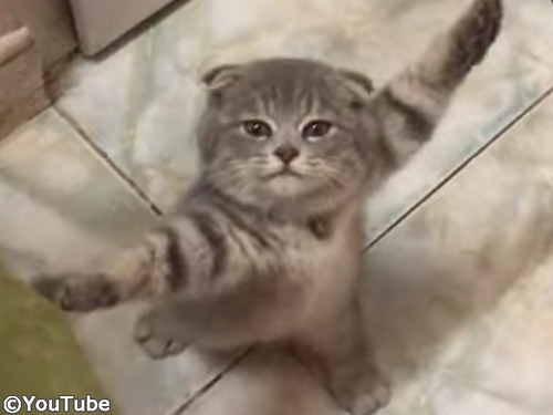 ��ǭ��������ͷ�Ф��Ƥ���ĤȤ�Ǥ�˥㤤���Ȥˤʤä�00