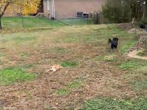 �����֤�����ɤ������ä�������ǥѥ���03