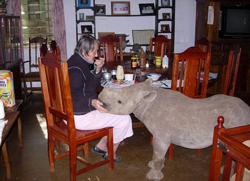 サイを飼う一家06