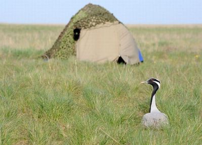 ����ưʪ�����ޥ�07