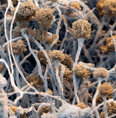 �ŻҸ�����������18