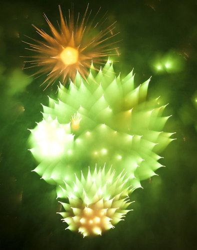 長時間露光で花火04