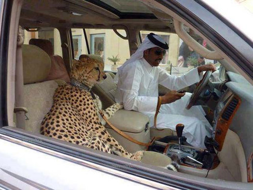 金持ちの使い方09