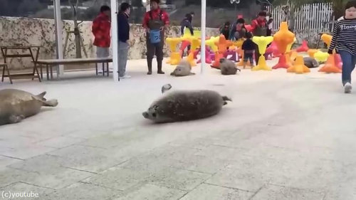 Φ�奢���饷01