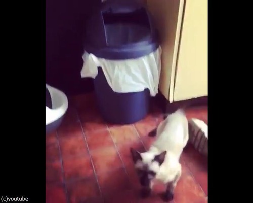 ����Ȣ�˥ϥޤäƽФ��ʤ��ʤä��ɥ��ûҤ���03