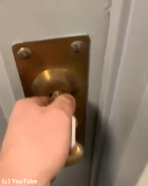 飼い主さんの帰宅を笑顔で出迎える犬01