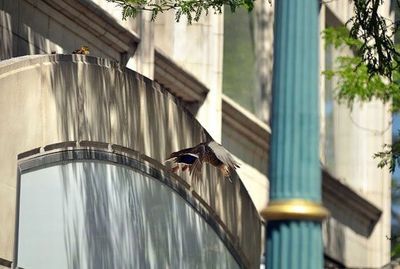 �ޥ���οƻ�03