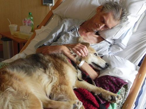 最後は愛犬と06