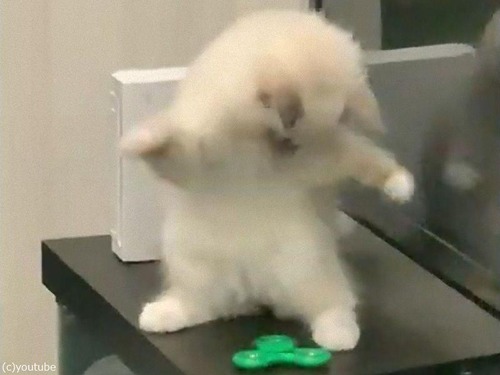 �ϥ�ɥ��ԥʡ����臘ǭ04