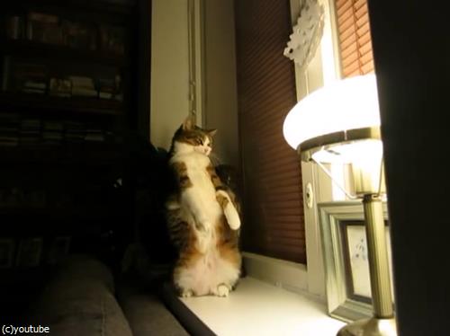 ǤΥ¹¥È¥ì¥Ã¥Á¤ò¤¤¤í¤ó¤Ê³ÑÅÙ¤«¤éį¤á¤Æ¤ß¤¿02