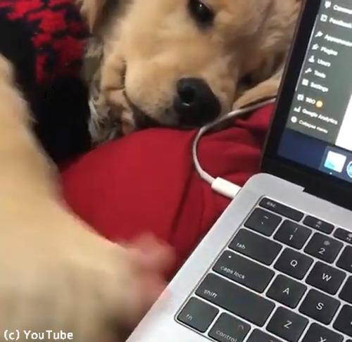 �����礵��˻Ż��򤵤������ʤ���ȥ�С��λҸ�02