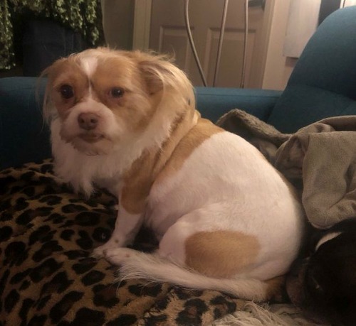 ���å���������θ��Υإ����å�07