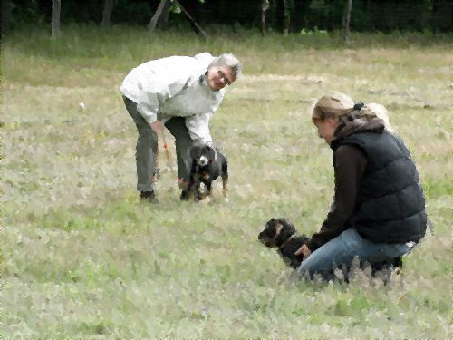 子犬の訓練学校のあと00