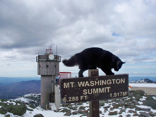 ワシントン山の街灯06