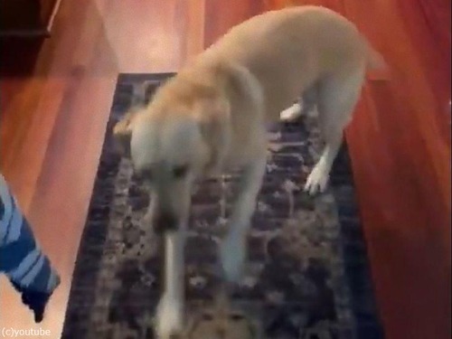 �ե�����󥰤����ʸ�05