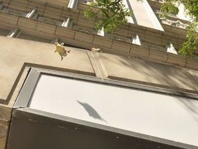 �ޥ���οƻ�00