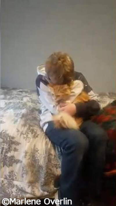 少年と迷子猫の感動の再会03