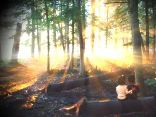 白血病の子供にフォトショップ13