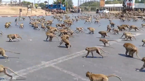 �����˽��03