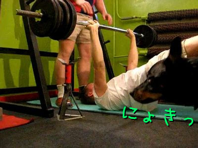70kgのバーベルを上げてたら、犬がやってきた