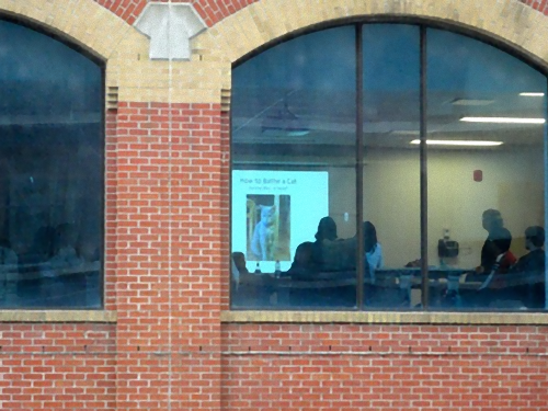 �������η�ʪ�ǲ��01