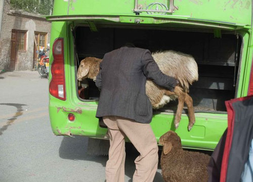 こんなバスは困る10