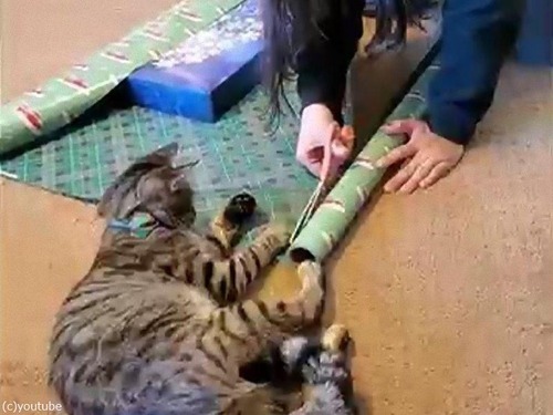 ǭ�˼��⤵��ƥץ쥼��Ȥ������Ǥ��ʤ�