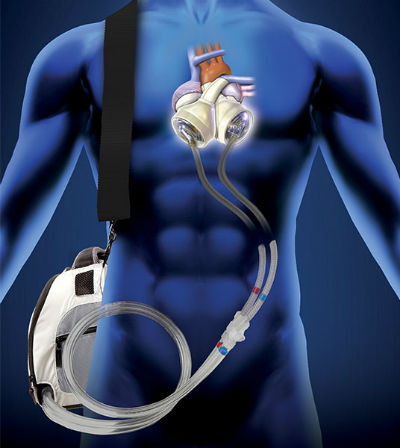 �Τ˿�¡��̵�����֤�555��������������01