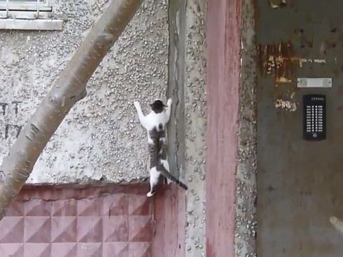 �ɤ�ͳ���ߤ˾��ǭ01